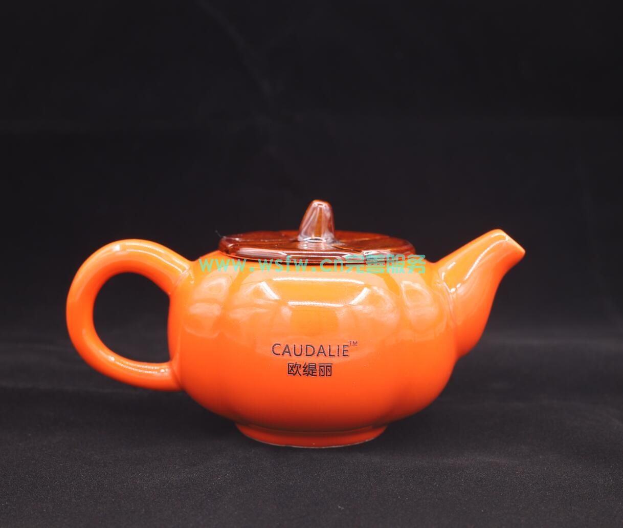CAUDALIE欧缇丽茶具-陶瓷茶壶（现货）100元